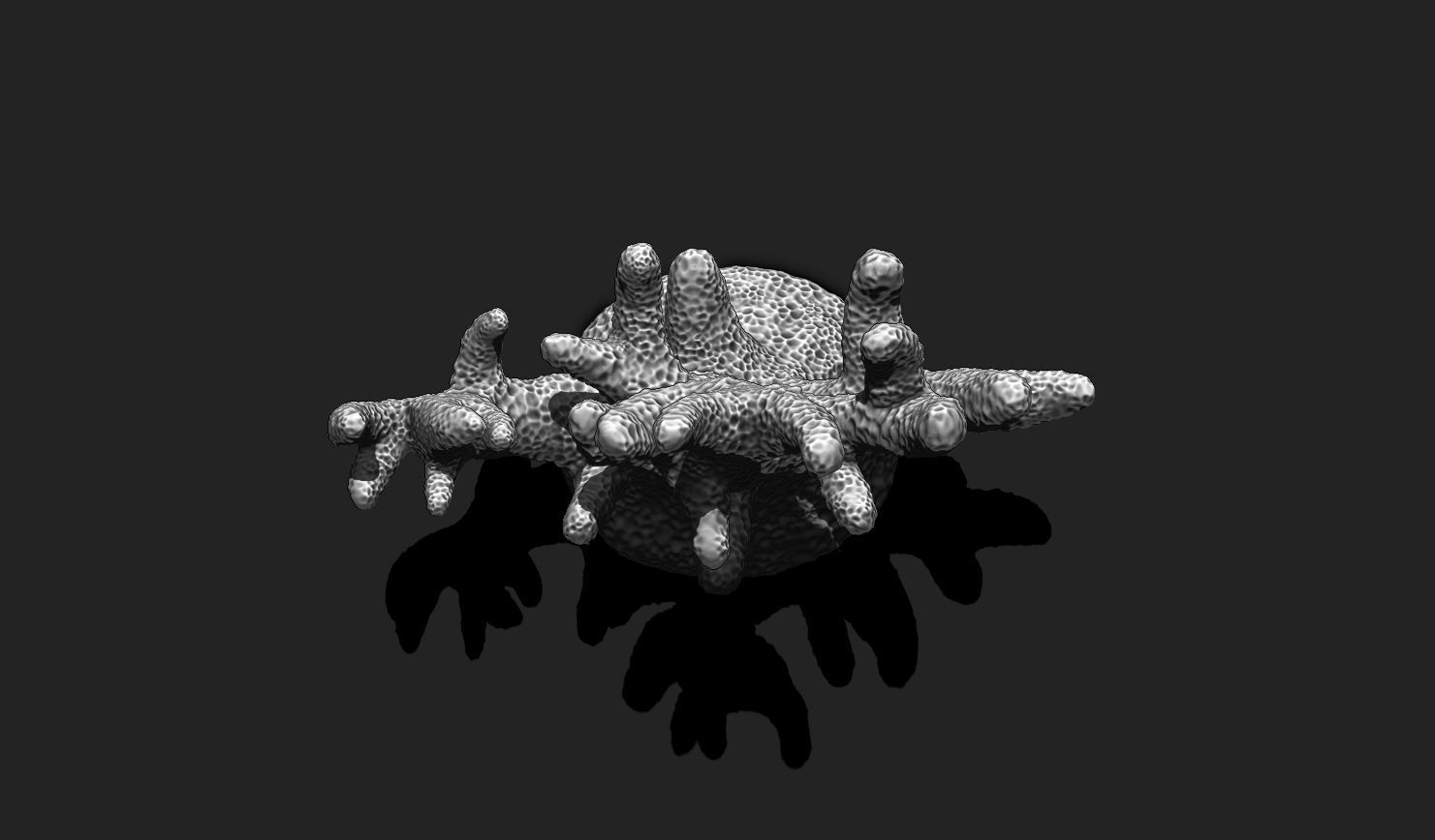 Coral 7 for 3D Printing - STL 3D Print - Aquarium - Home Decor 3D print model_8