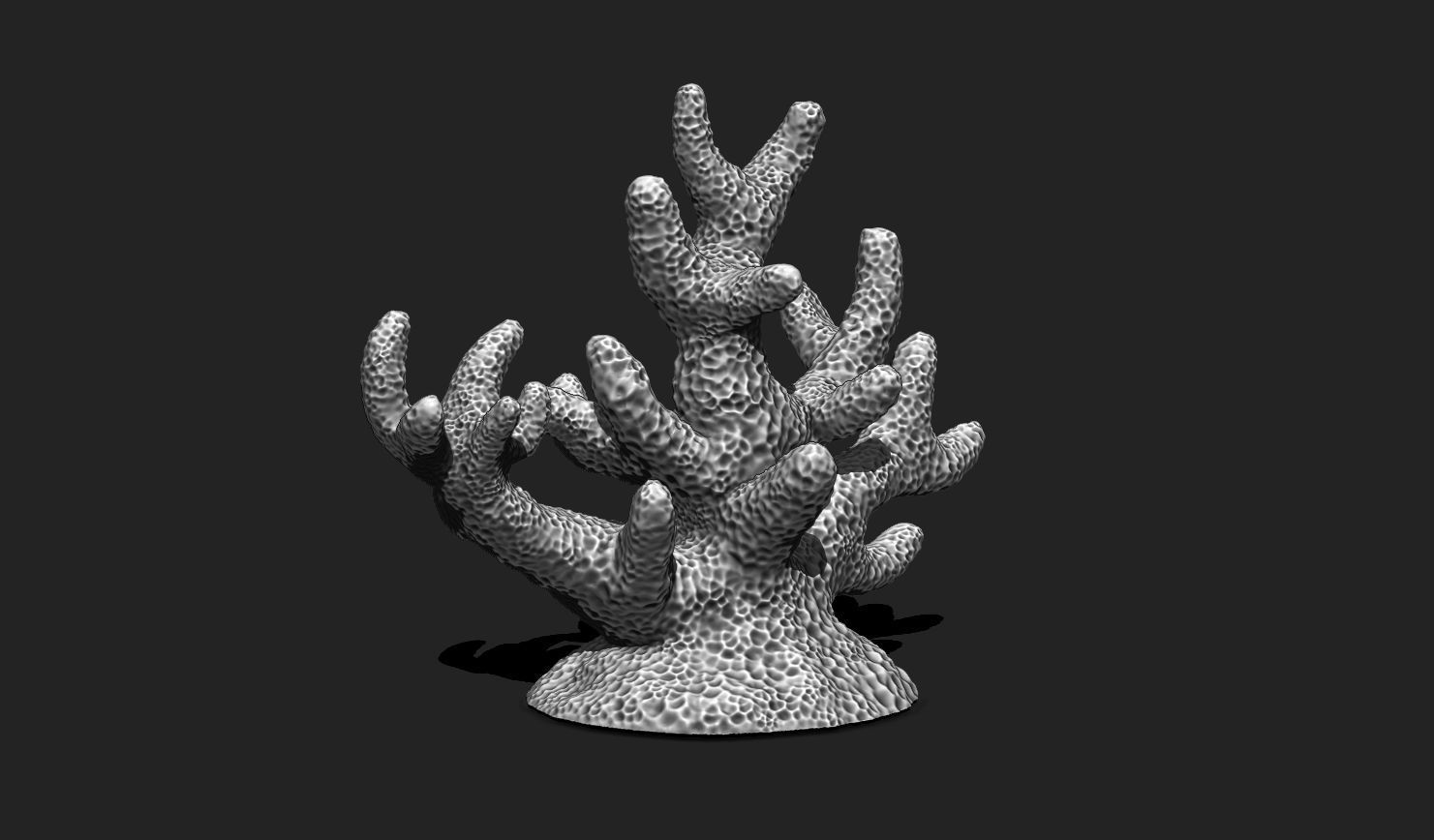 Coral 7 for 3D Printing - STL 3D Print - Aquarium - Home Decor 3D print model_1