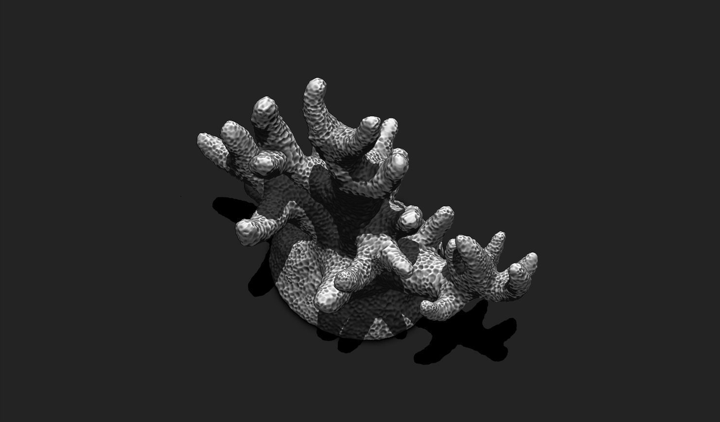 Coral 7 for 3D Printing - STL 3D Print - Aquarium - Home Decor 3D print model_11