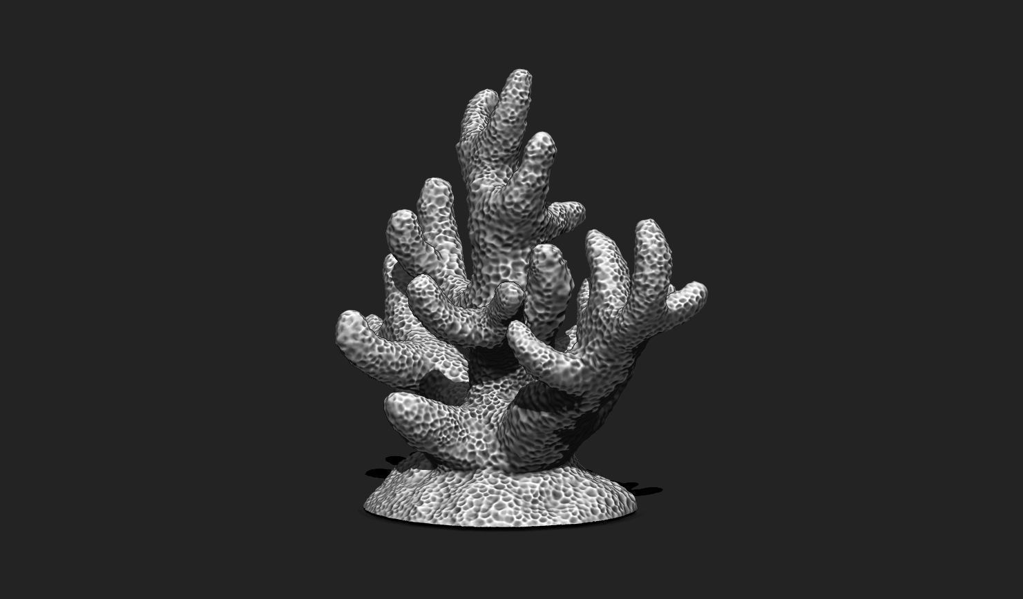 Coral 7 for 3D Printing - STL 3D Print - Aquarium - Home Decor 3D print model_4