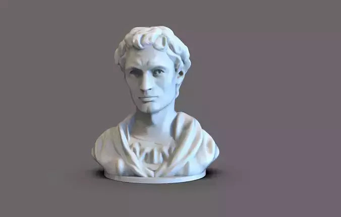 Leonardo Da Vinci young bust 3D print model