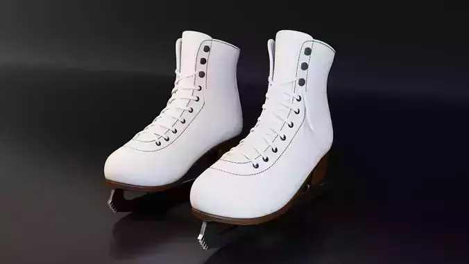 Ice Skate Shoe