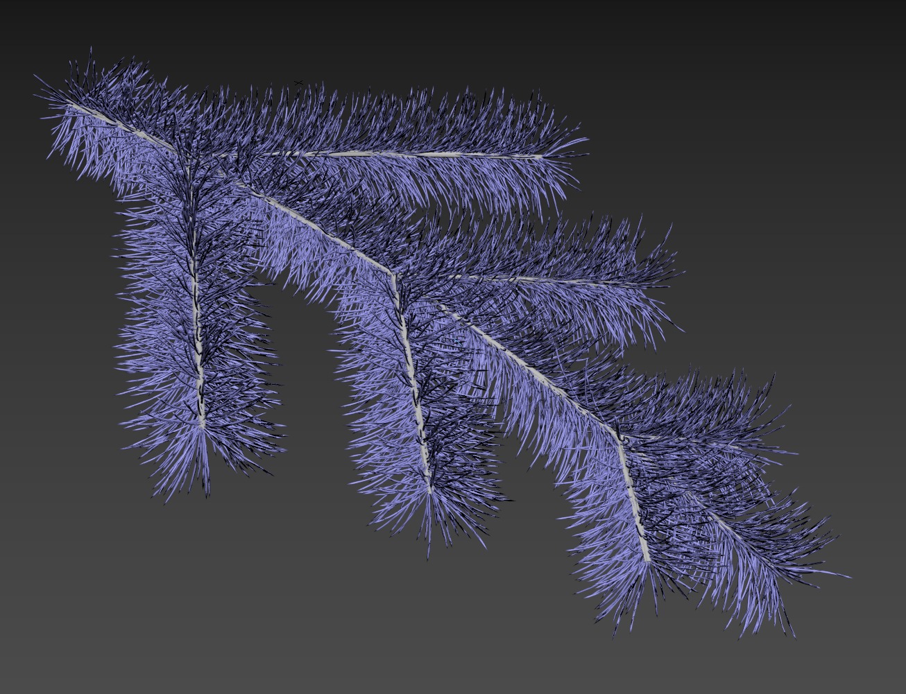 Branch of Pine Christmas Tree  3D model_6