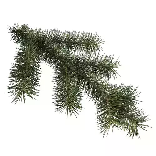 Branch of Pine Christmas Tree  3D model