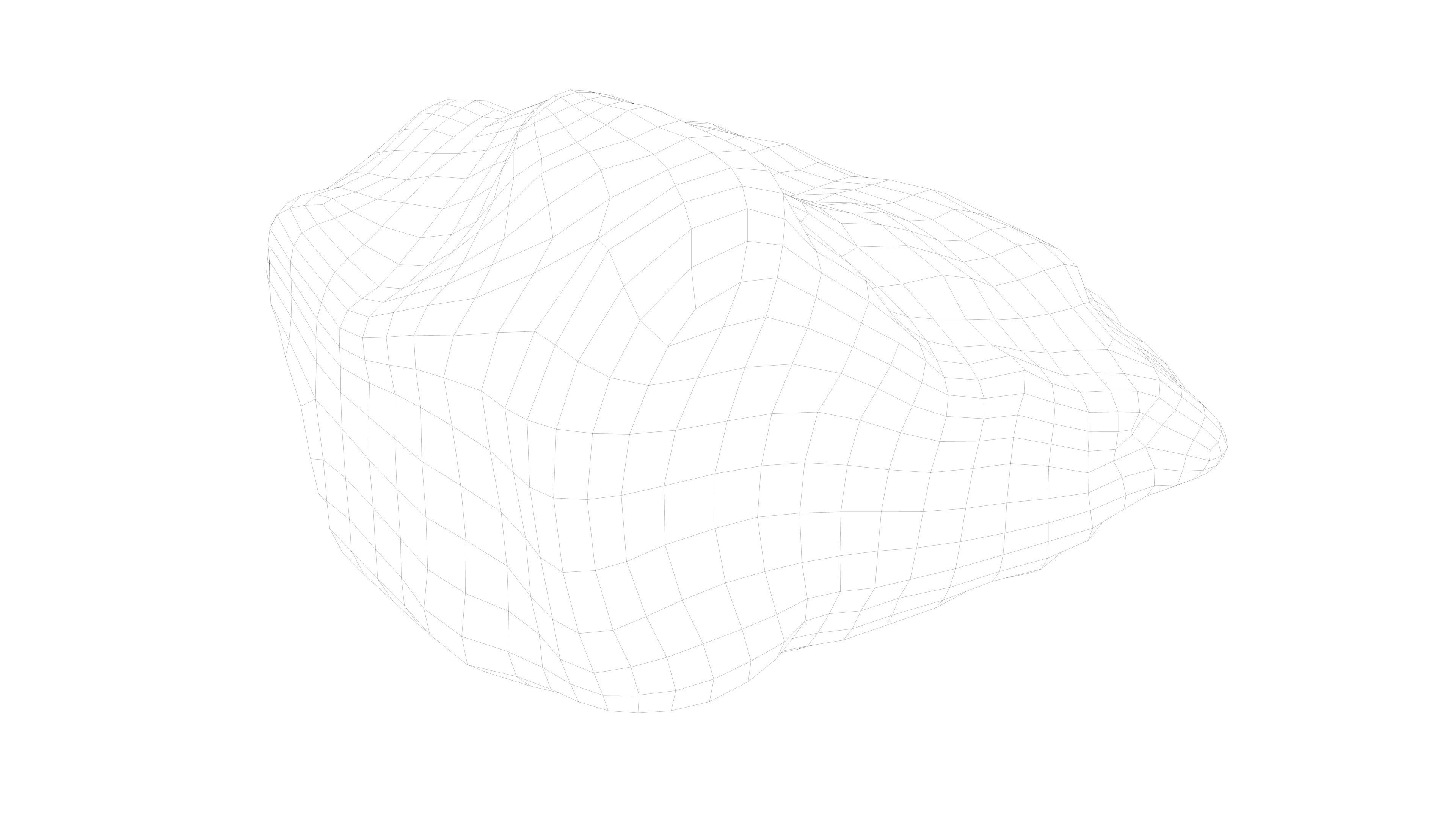 Photorealistic 3D scan of rock stone Low-poly 3D model_16