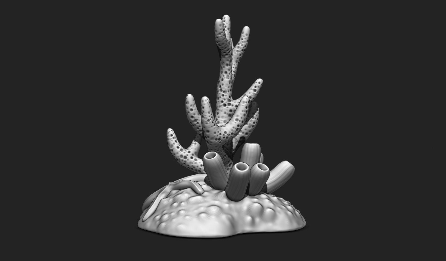 Coral Reef Aquarium 3D Print - Decor 3D print model_7