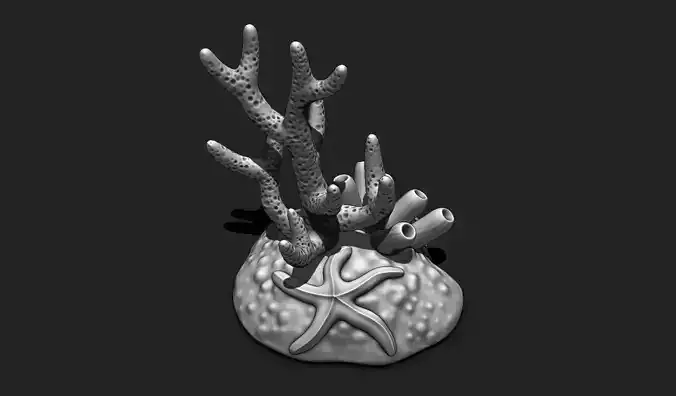 Coral Reef Aquarium 3D Print - Decor 3D print model