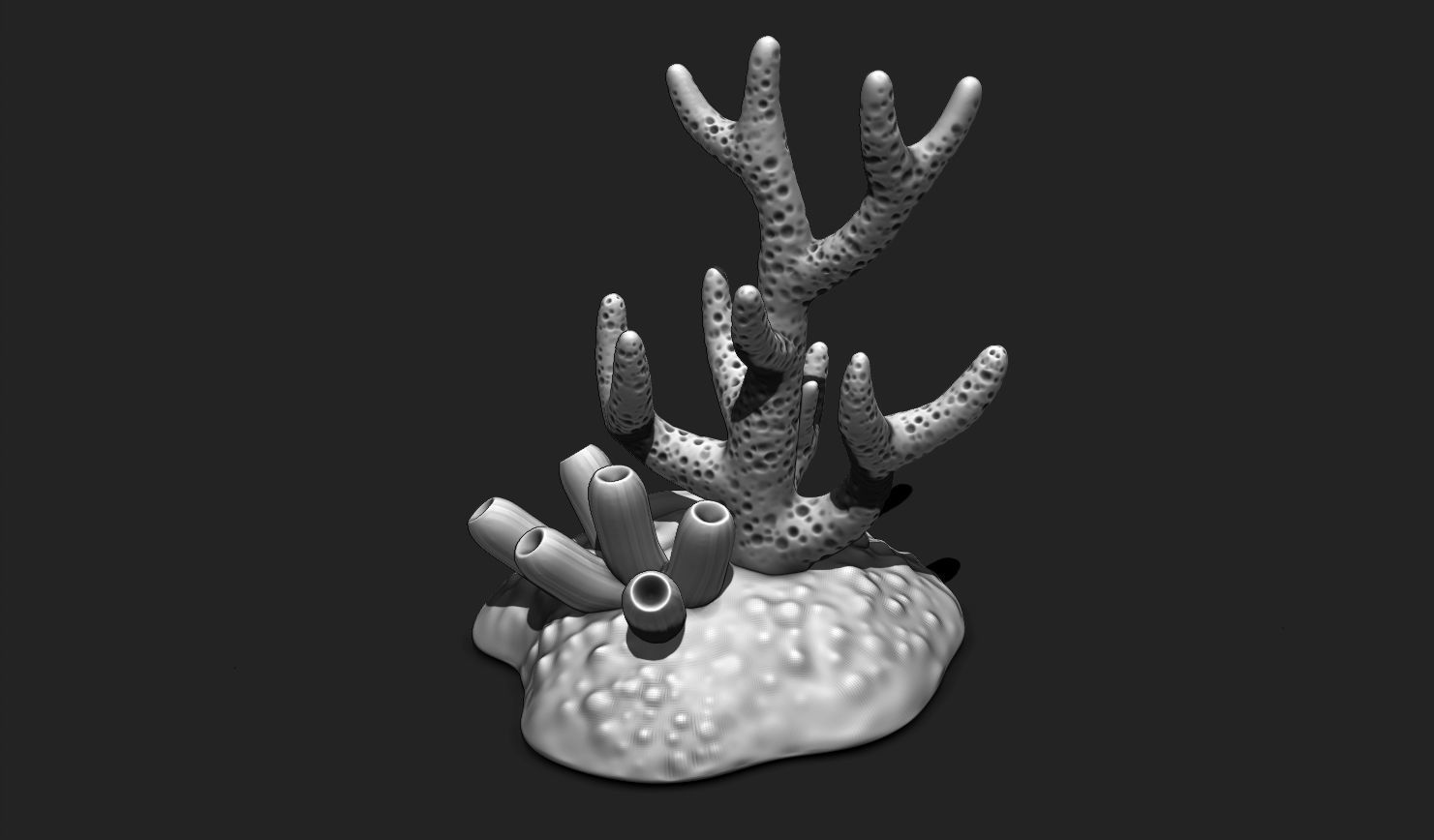 Coral Reef Aquarium 3D Print - Decor 3D print model_11