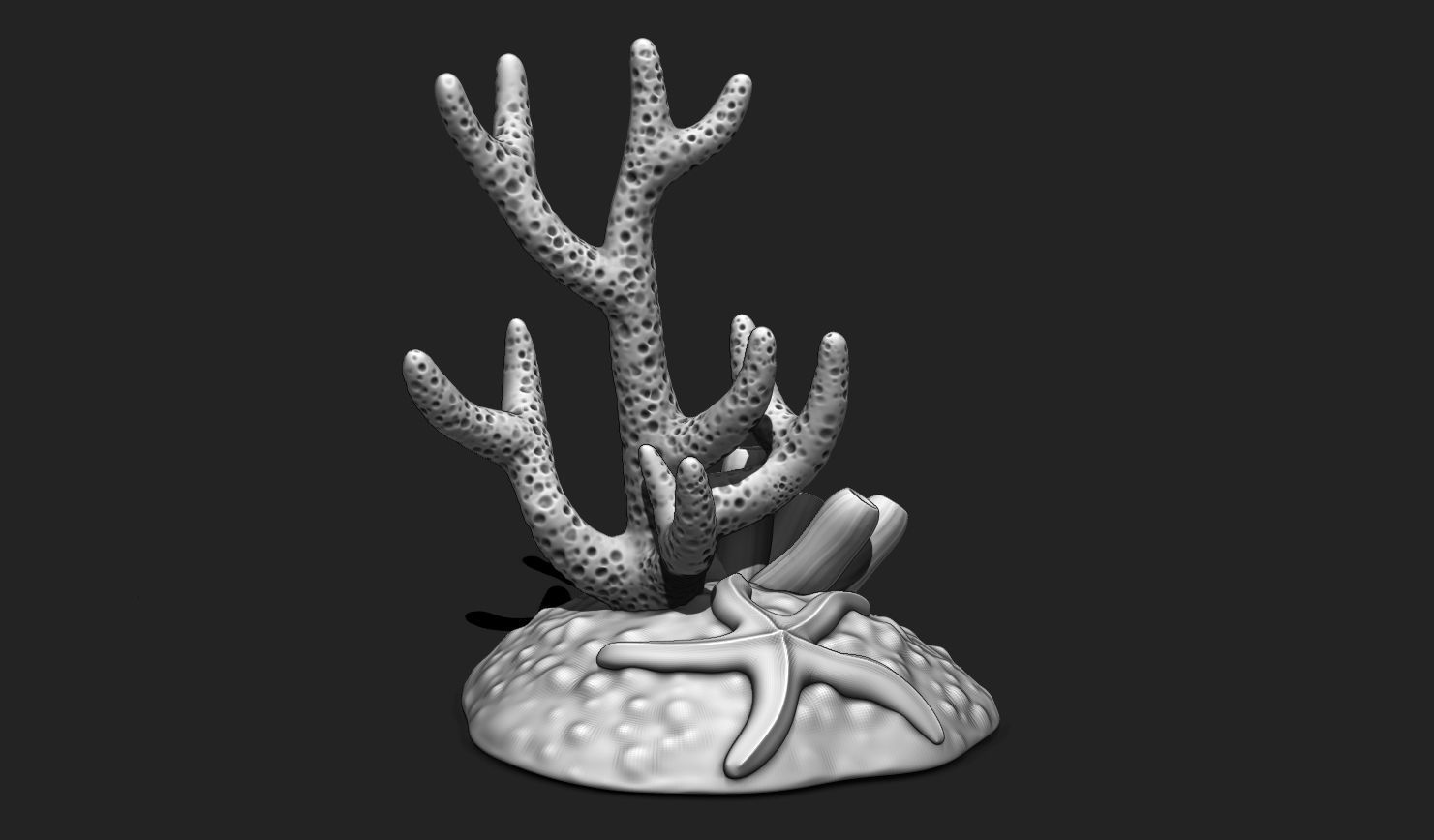 Coral Reef Aquarium 3D Print - Decor 3D print model_2
