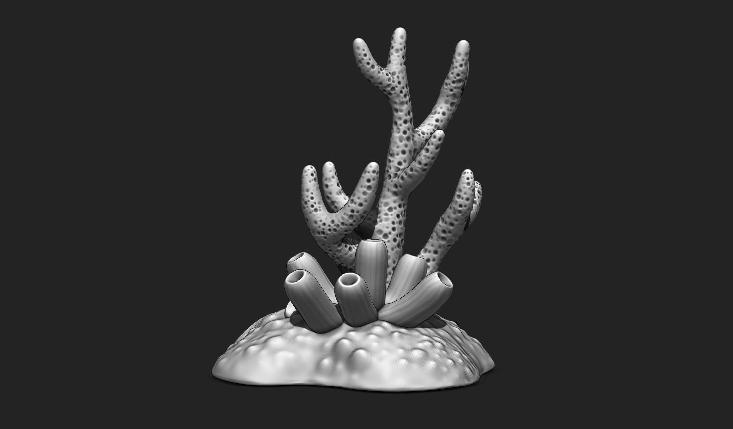 Coral Reef Aquarium 3D Print - Decor 3D print model_6