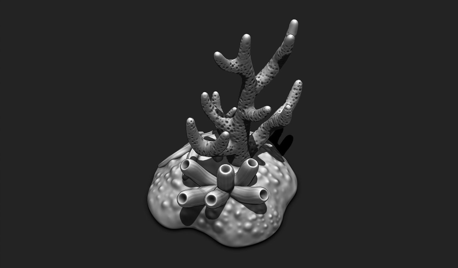 Coral Reef Aquarium 3D Print - Decor 3D print model_10