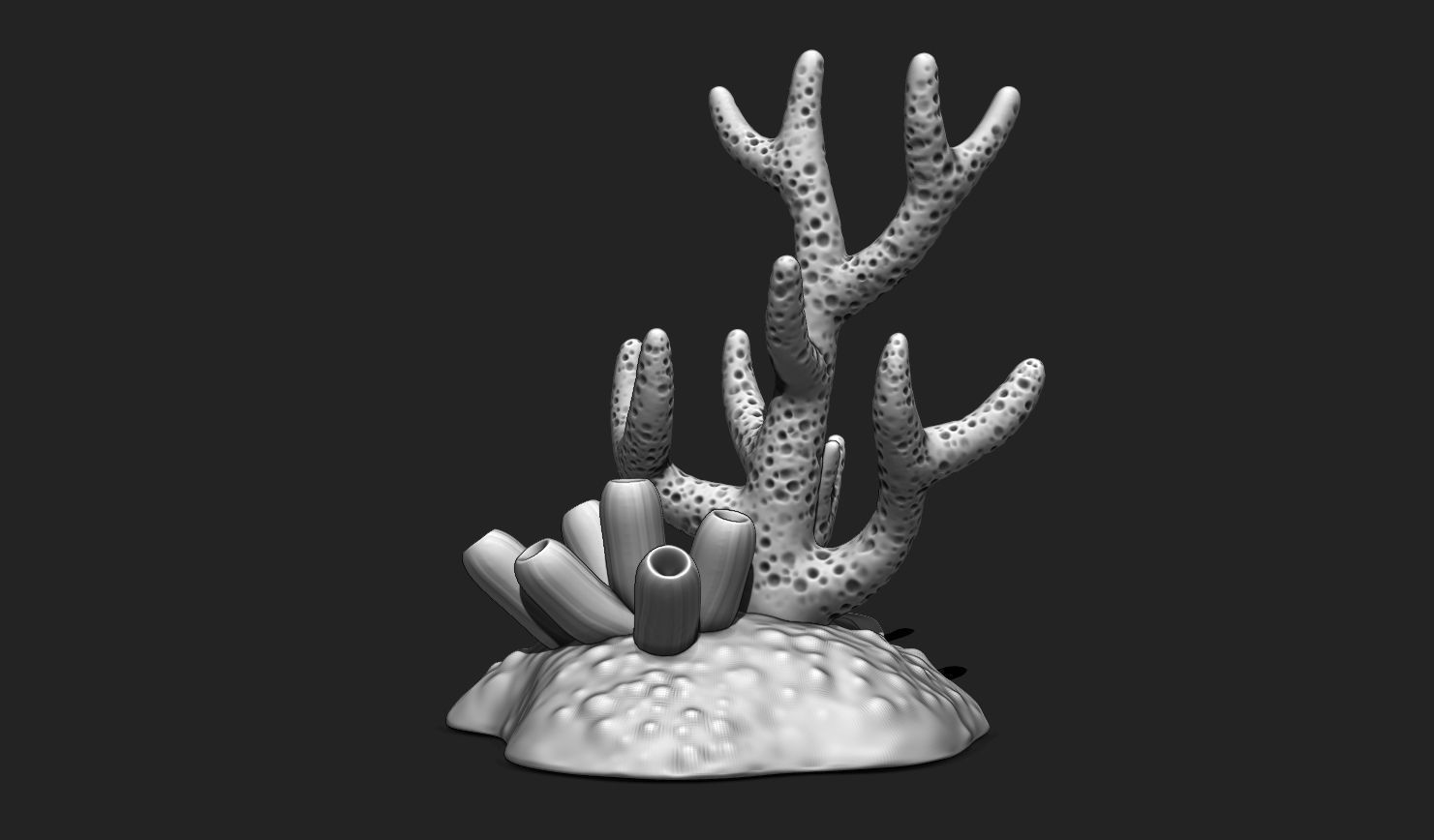 Coral Reef Aquarium 3D Print - Decor 3D print model_5