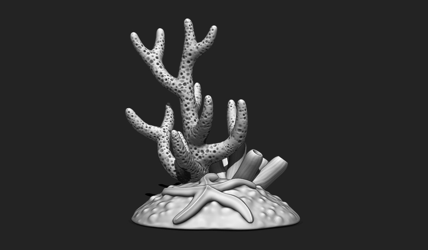 Coral Reef Aquarium 3D Print - Decor 3D print model_1