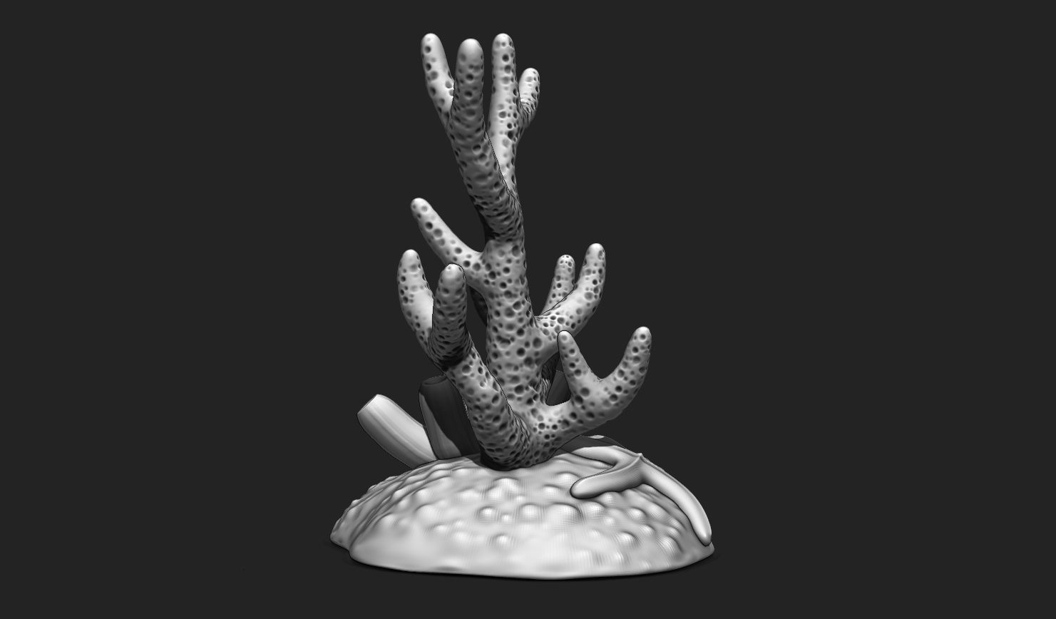 Coral Reef Aquarium 3D Print - Decor 3D print model_3