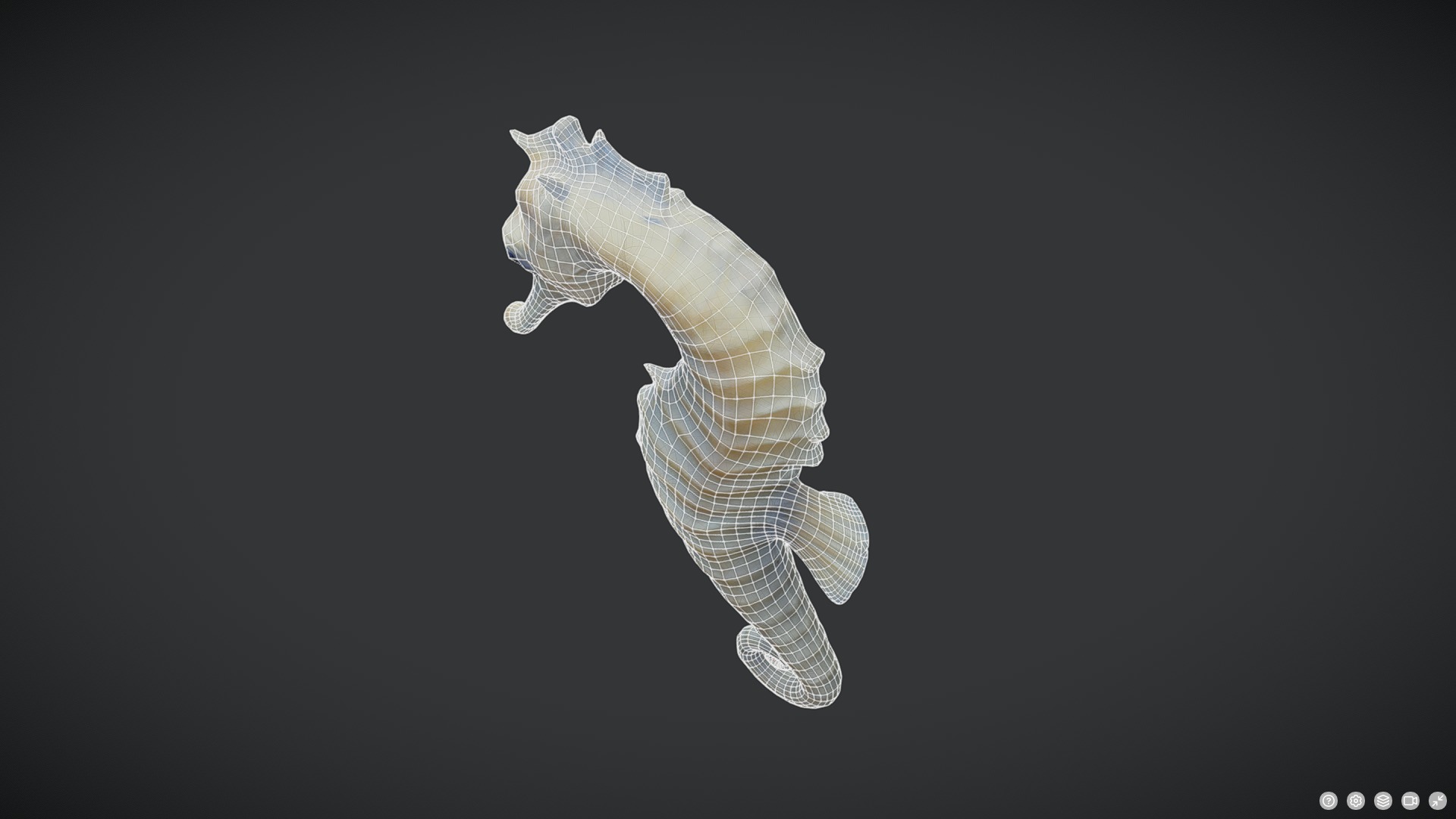 Seahorse - Hippocampus reidi Low-poly 3D model_4