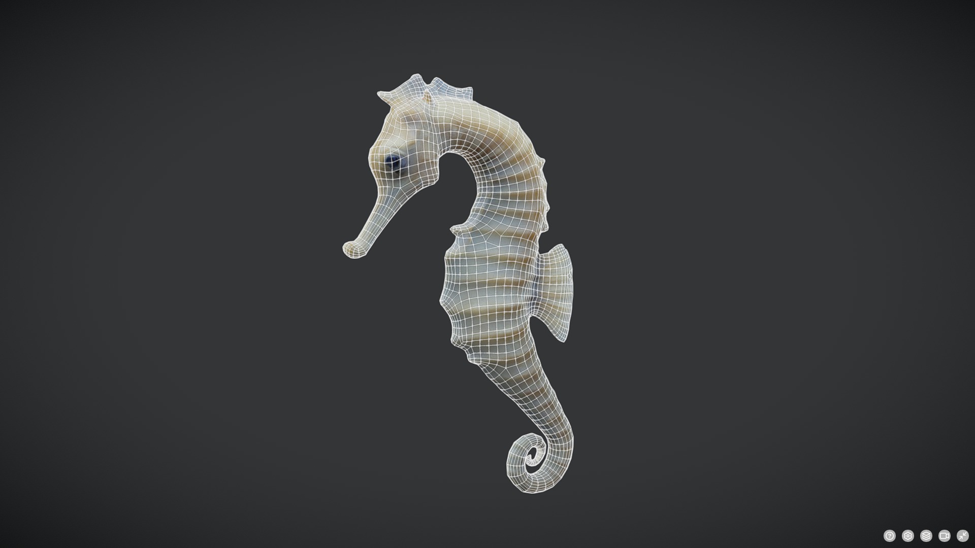 Seahorse - Hippocampus reidi Low-poly 3D model_2