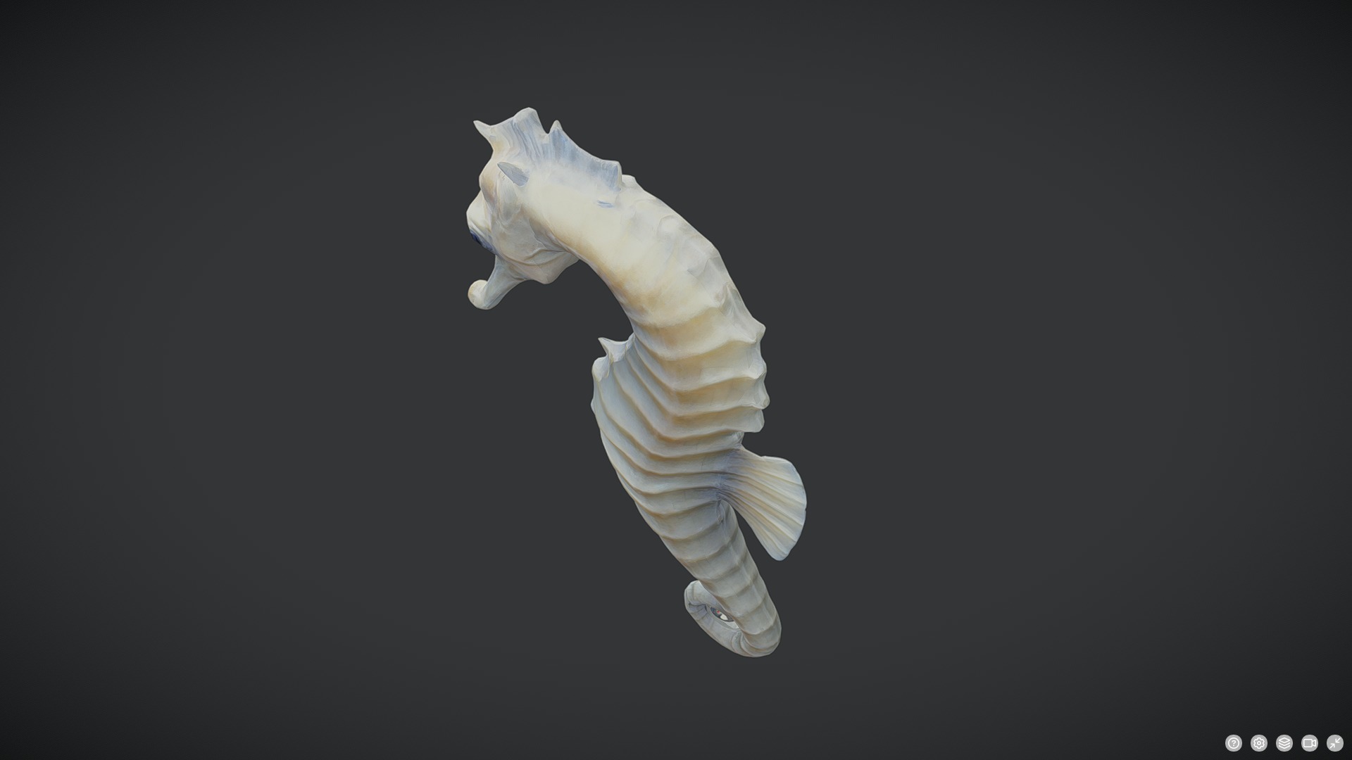Seahorse - Hippocampus reidi Low-poly 3D model_3