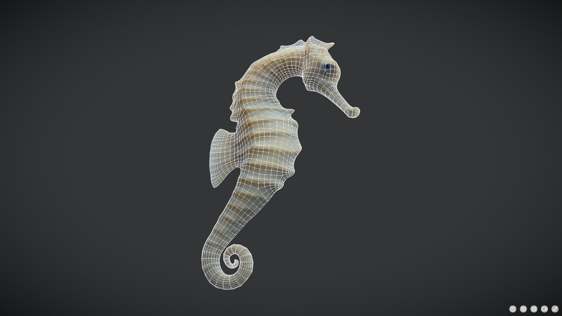 Seahorse - Hippocampus reidi Low-poly 3D model_6