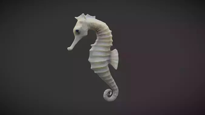 Seahorse - Hippocampus reidi Low-poly 3D model