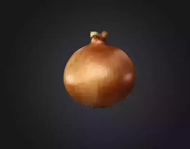 Realistic Onion 3D Model 1