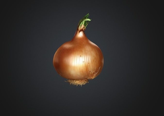 Realistic Onion 3D Model 2 3D model