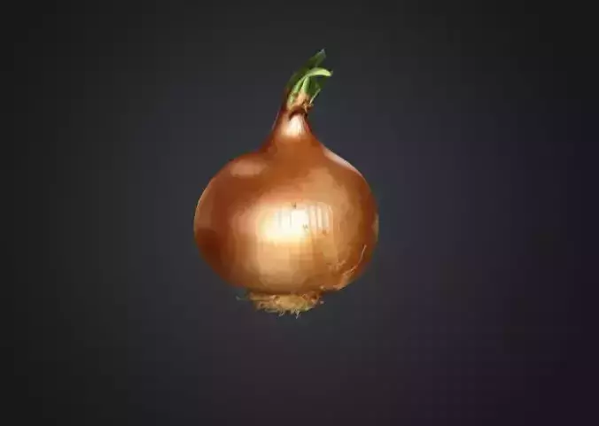 Realistic Onion 3D Model 2
