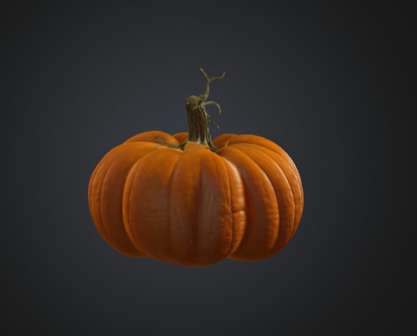 Realistic Pumpkin 3D Model 3D model_2
