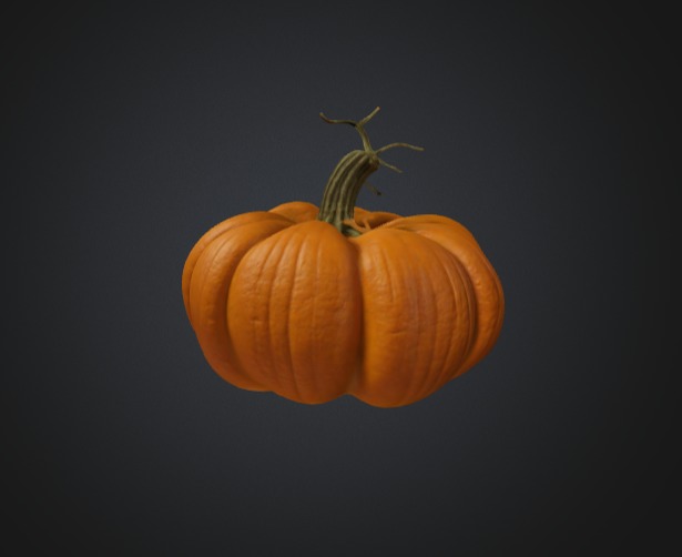 Realistic Pumpkin 3D Model 3D model_1