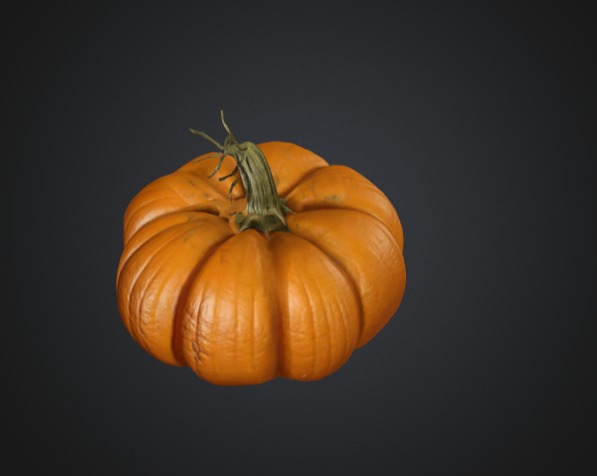 Realistic Pumpkin 3D Model 3D model_3