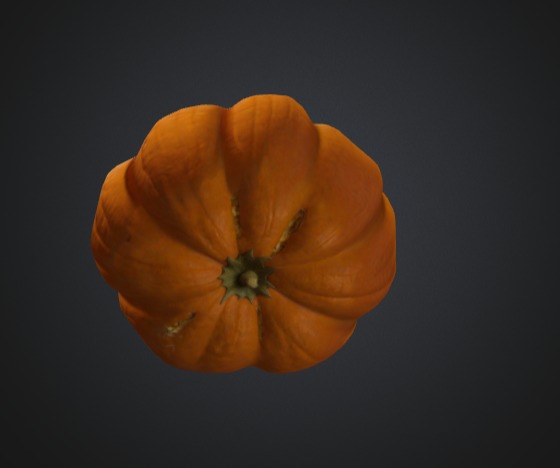 Realistic Pumpkin 3D Model 3D model_4