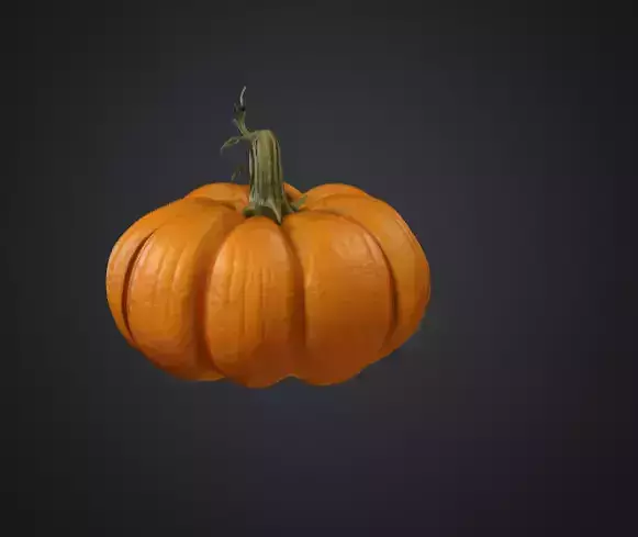 Realistic Pumpkin 3D Model