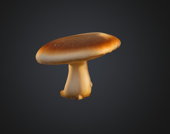 Realistic Mushroom 3D Model 3D model_2