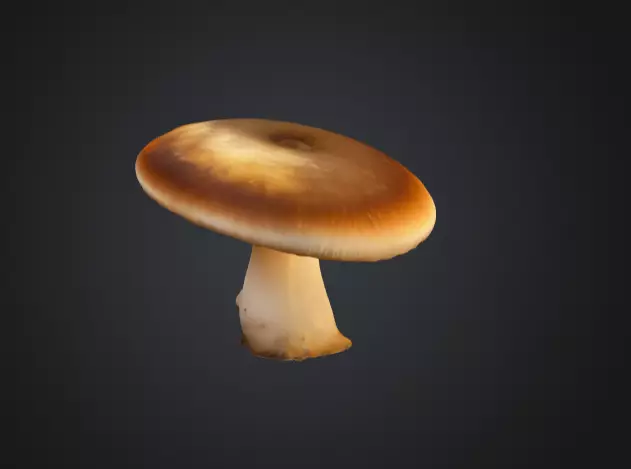 Realistic Mushroom 3D Model 3D model_0