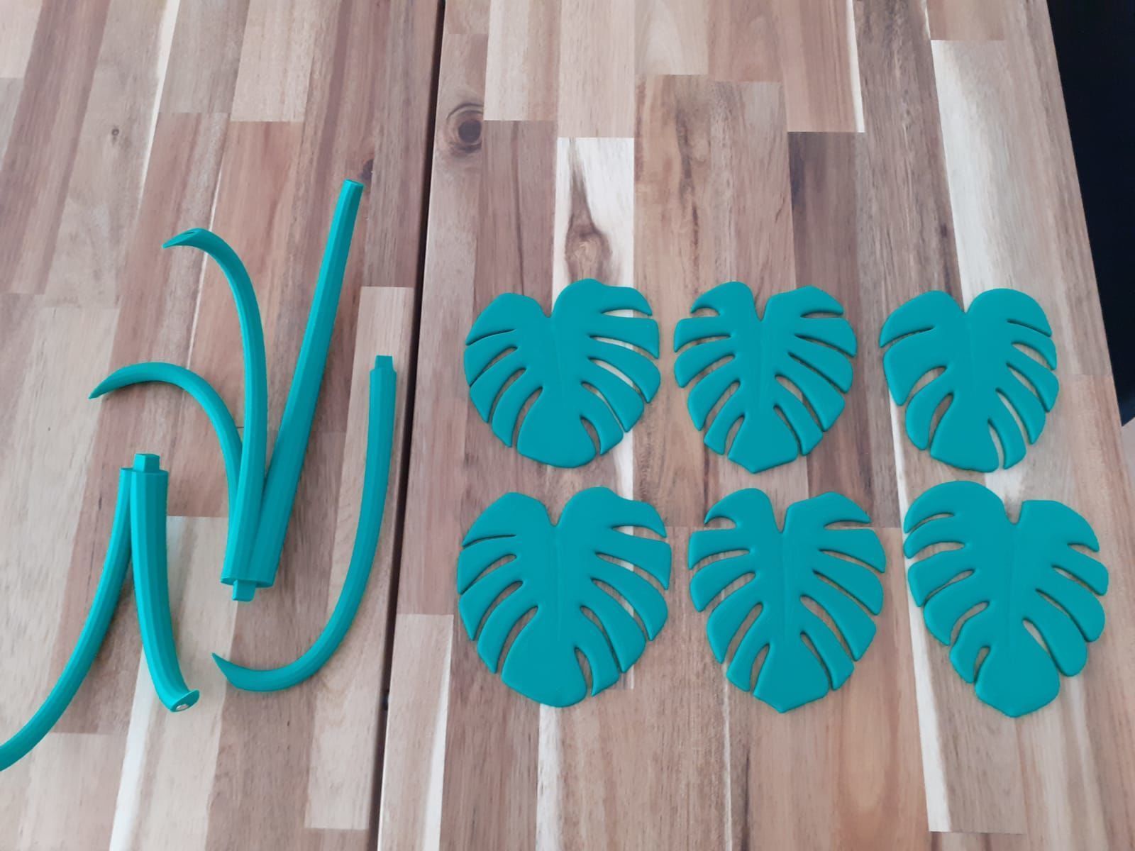 Monstera plant for 3Dprint 3D model_1