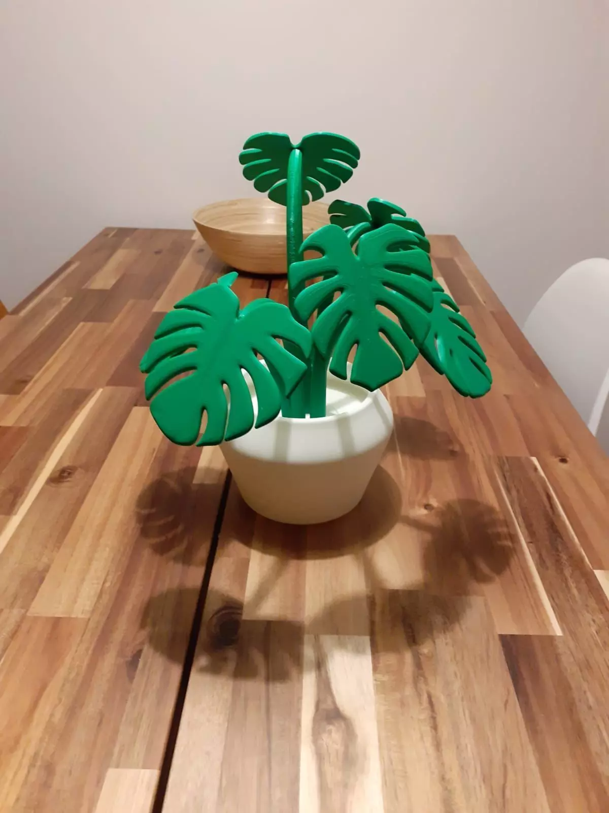 Monstera plant for 3Dprint 3D model_0