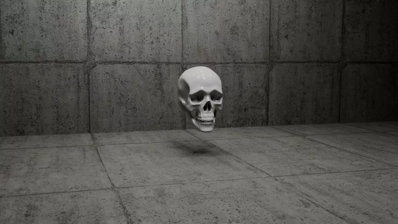 Human Skull Free 3D print model