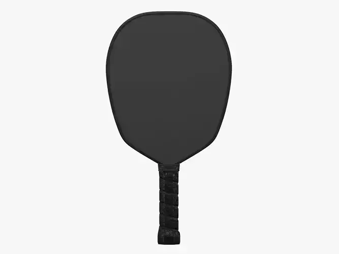 Pickle Ball Paddle