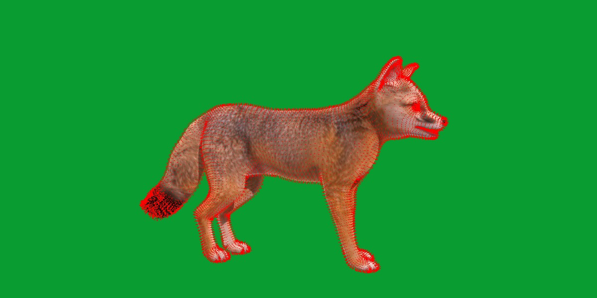 Kit Fox Low-poly 3D model_23