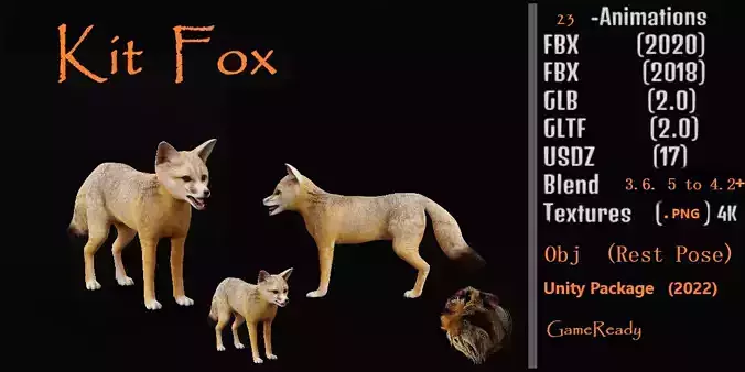 Kit Fox Low-poly 3D model
