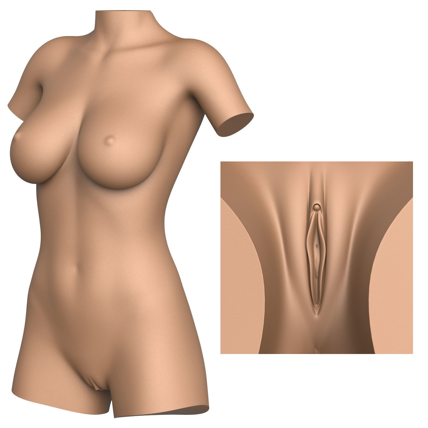 3D Print Ready Woman Torso with Vagina 3D print model_1