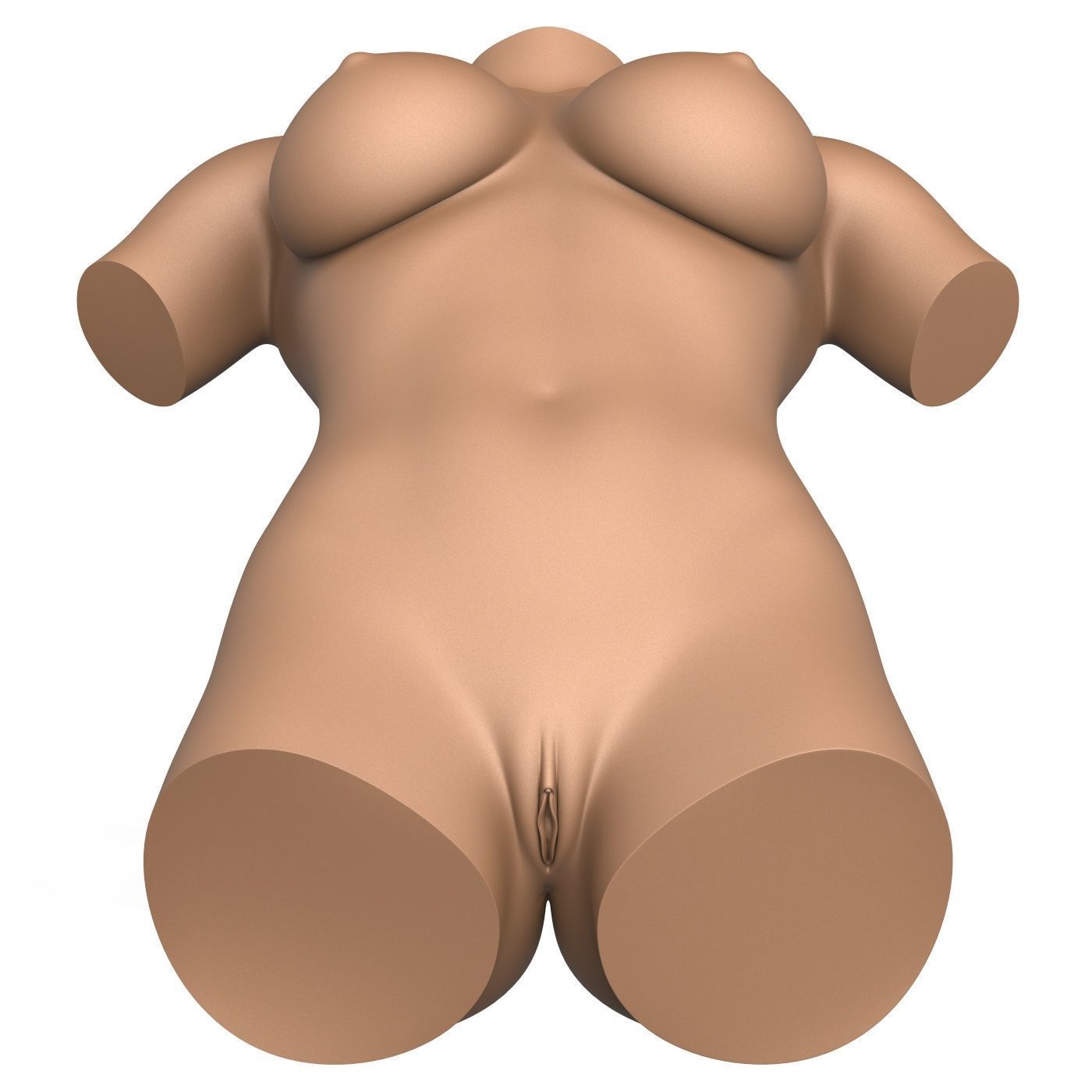 3D Print Ready Woman Torso with Vagina 3D print model_4