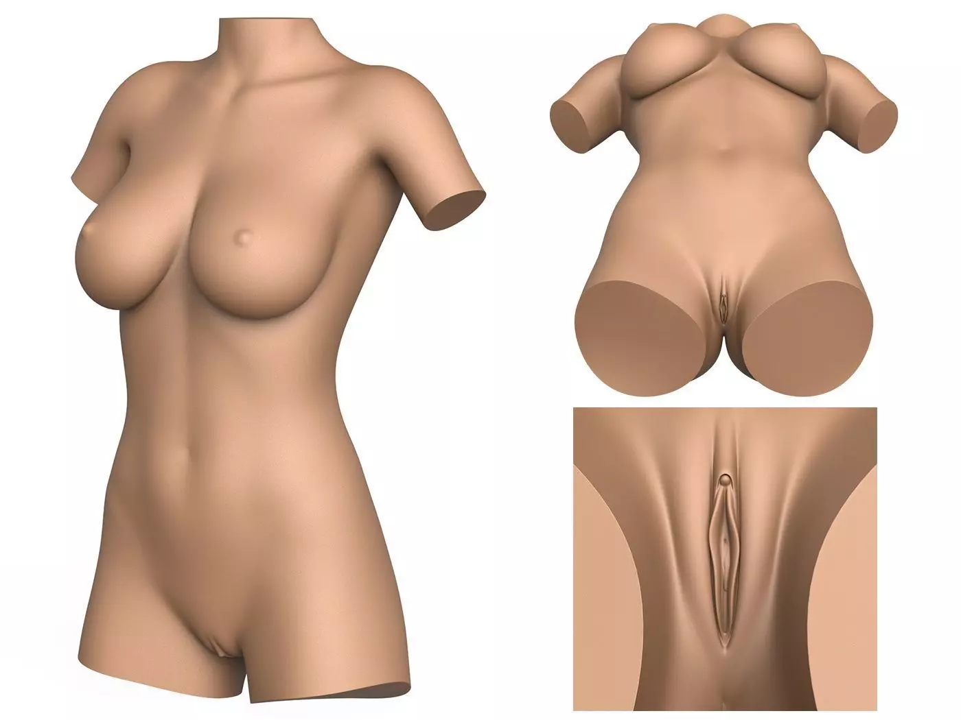 3D Print Ready Woman Torso with Vagina 3D print model_0