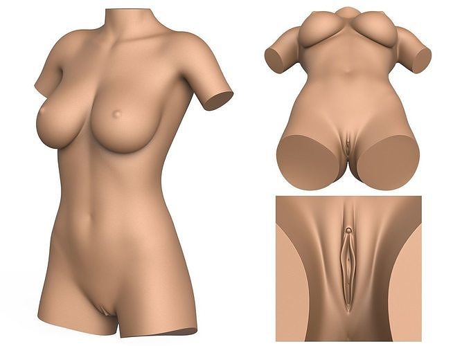 3D Print Ready Woman Torso with Vagina 3D print model