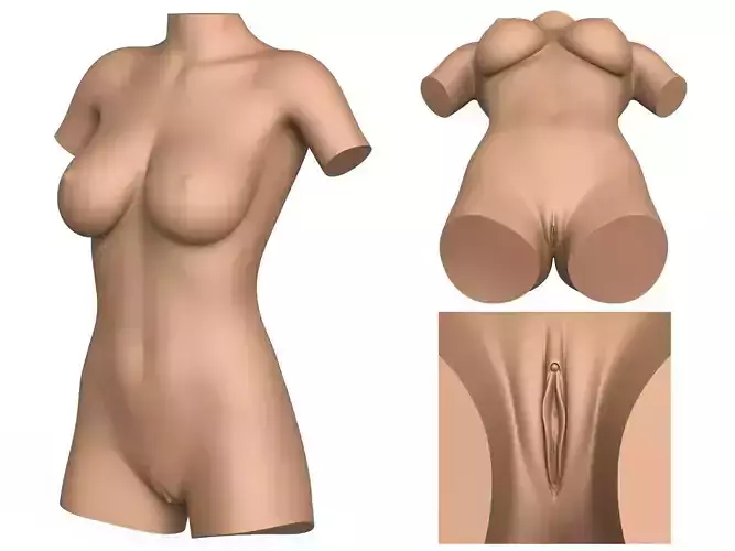 3D Print Ready Woman Torso with Vagina 3D print model