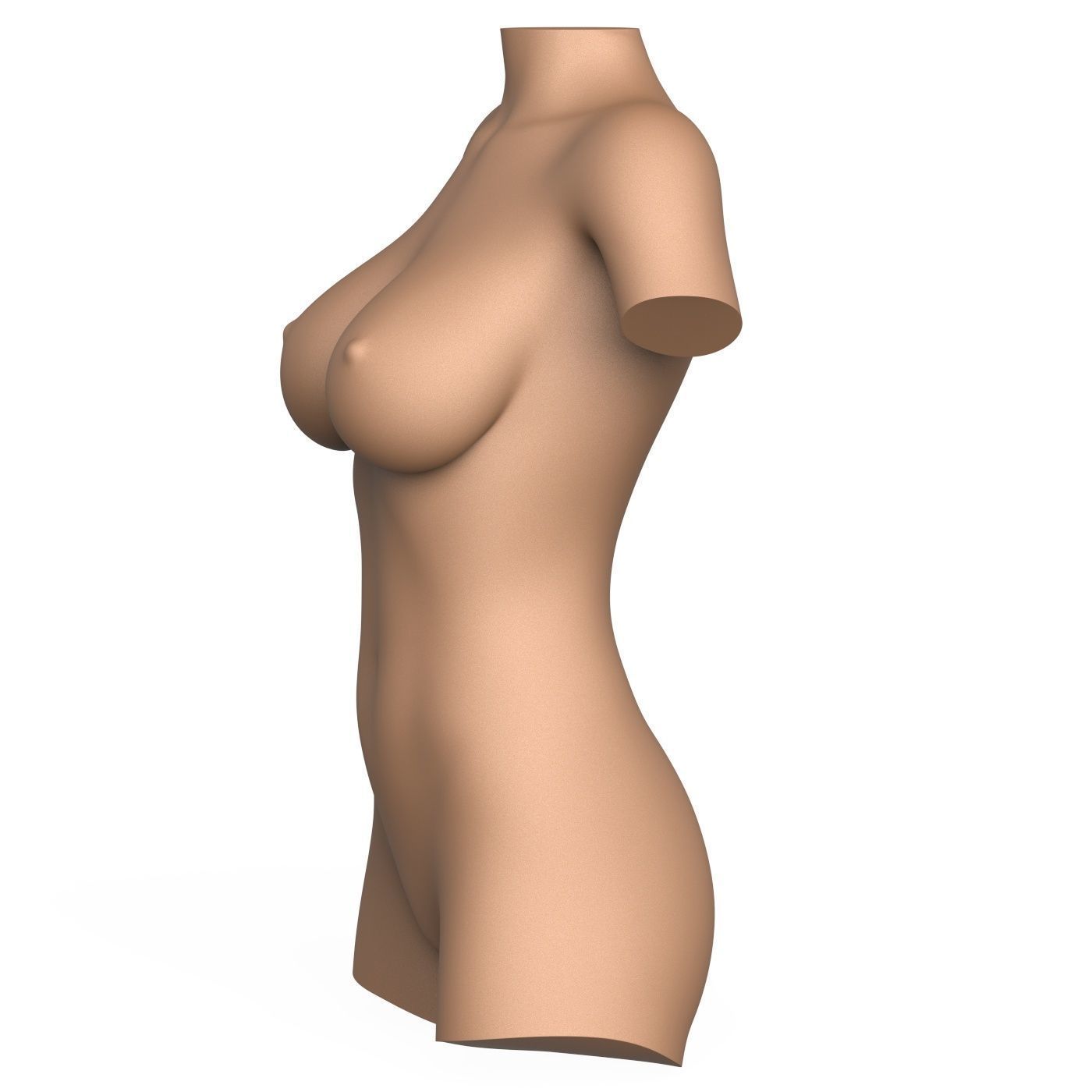 3D Print Ready Woman Torso with Vagina 3D print model_5