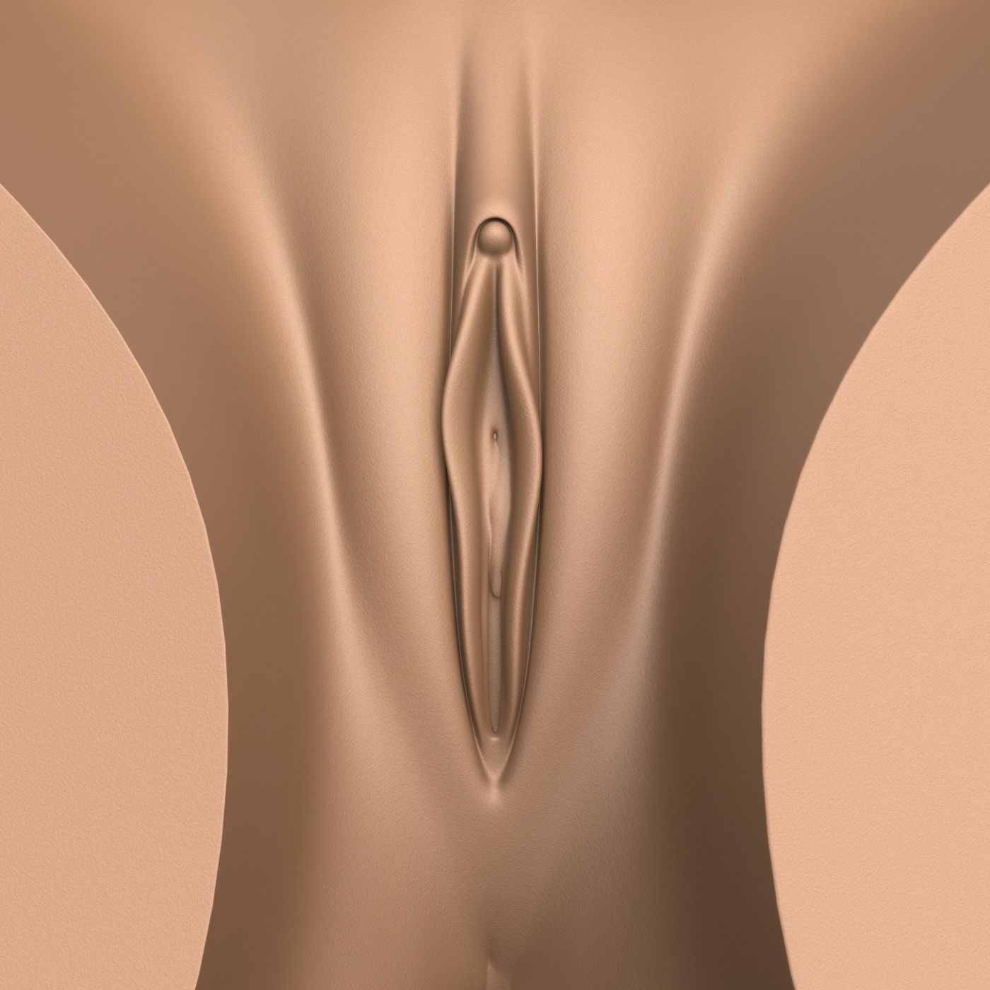 3D Print Ready Woman Torso with Vagina 3D print model_3