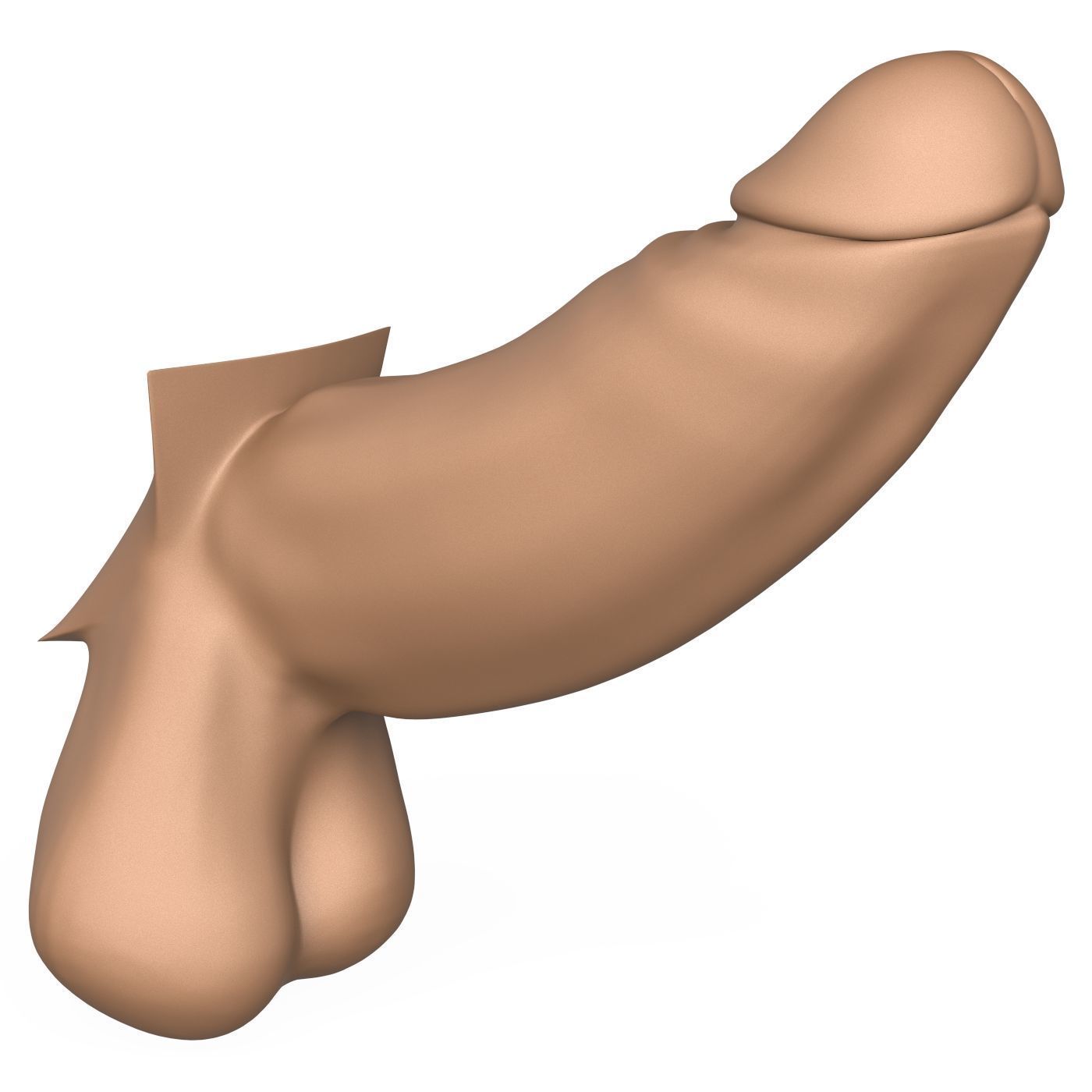 3D Print Ready Long Thick Penis 3D print model_5