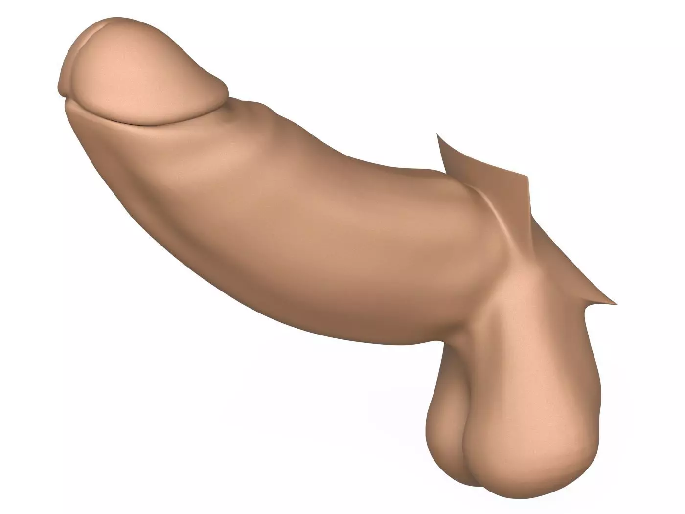 3D Print Ready Long Thick Penis 3D print model_0