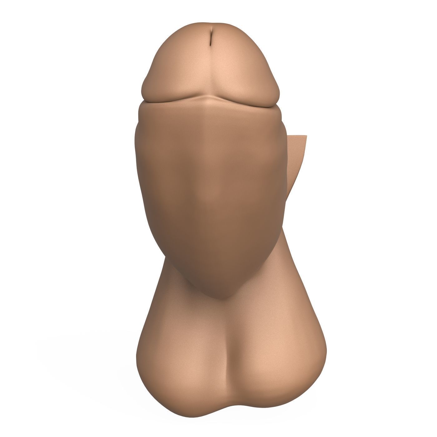 3D Print Ready Long Thick Penis 3D print model_2