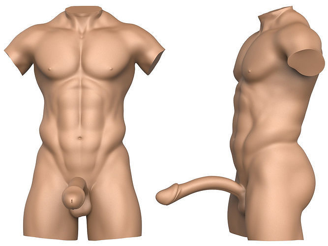 3D Print Ready Fantasy Man Penis with Torso 3D print model